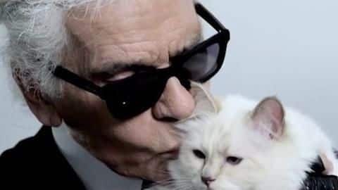 Karl Lagerfeld's cat to inherit part of $300 million fortune Karl Lagerfeld's cat to inherit part of $300 million fortune