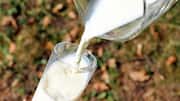 Milk about to become costlier in Mumbai from September 1