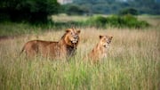 5 overrated tourist spots in Kenya