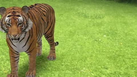#TechBytes: How to view life-sized 'AR animals' using your phone #TechBytes: How to view life-sized 'AR animals' using your phone