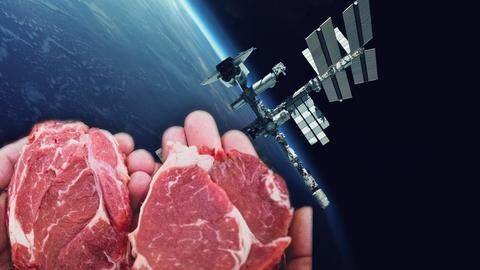 Major step towards providing unlimited fresh meat Major step towards providing unlimited fresh meat