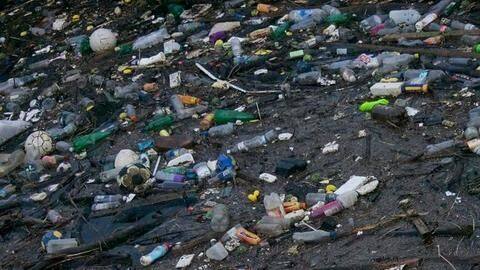 Plastic waste is at critical levels Plastic waste is at critical levels
