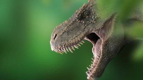 68-million-year-old baby T-rex listed on eBay, scientists infuriated 68-million-year-old baby T-rex listed on eBay, scientists infuriated