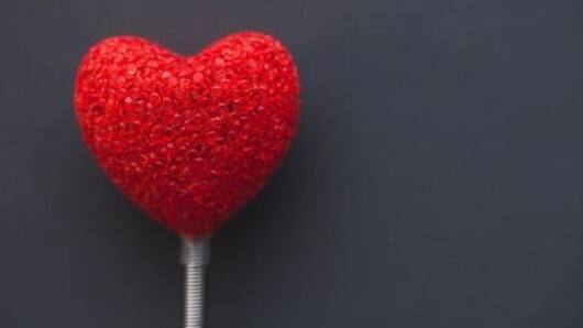 Celebrate love with BookinBro