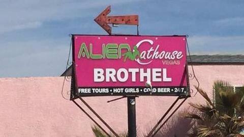 Alien Cathouse's robots for extraterrestrial fantasies Alien Cathouse's robots for extraterrestrial fantasies