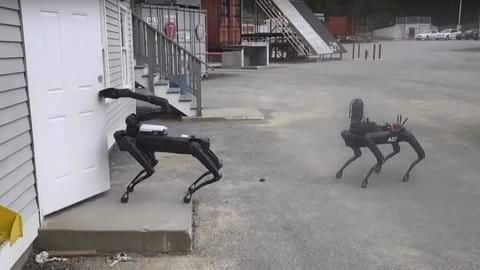 Boston Dynamics' robo-dog joined a police bomb squad Boston Dynamics' robo-dog joined a police bomb squad