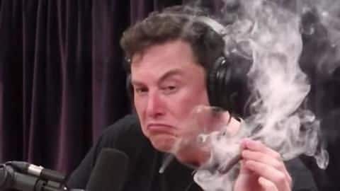 Elon Musk's SpaceX to send marijuana and coffee into space Elon Musk's SpaceX to send marijuana and coffee into space
