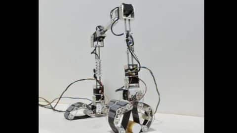 This IIT-Madras robot can grab things like a human This IIT-Madras robot can grab things like a human