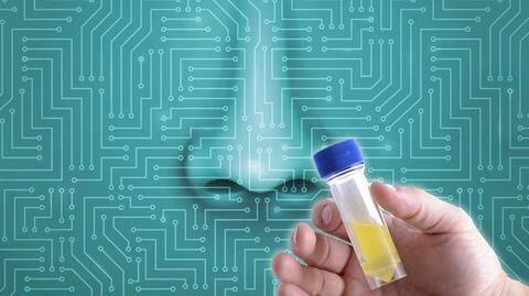 Google designed an AI engine that can recognize scents Google designed an AI engine that can recognize scents