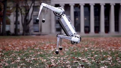What else this robot can do? What else this robot can do?