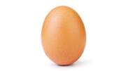 Teen cracks egg on mom for Facebook challenge, gets arrested