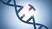 CRISPR gene-editing used on cancer patients: Details here