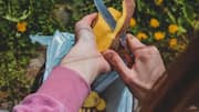 Want a beautiful garden without overspending? Try these tips
