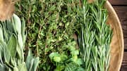 Thyme v/s sage: Which herb is more nutritious?