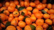 Add these citrus fruits to your daily diet