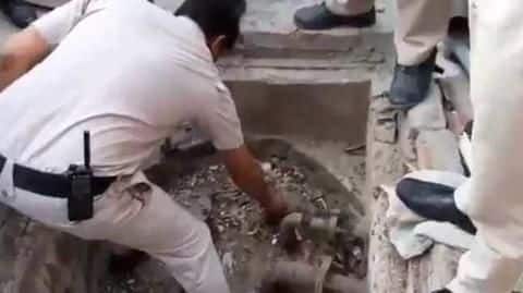 Delhi: 2,500 liter diesel found in school's basement Delhi: 2,500 liter diesel found in school's basement
