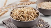 Barley v/s sorghum: Which one should you choose?