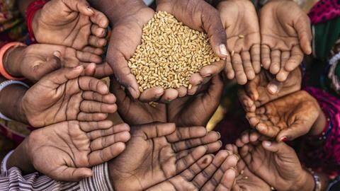 5kg free ration under Garib Kalyan Yojana for 2 months 5kg free ration under Garib Kalyan Yojana for 2 months