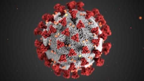 We have 3 live coronaviruses; none match SARS-CoV-2: Wuhan lab We have 3 live coronaviruses; none match SARS-CoV-2: Wuhan lab