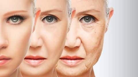 Scientists may have found the secret to reverse aging Scientists may have found the secret to reverse aging