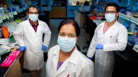 Indian-origin scientists in US discover possible COVID-19 treatment Indian-origin scientists in US discover possible COVID-19 treatment