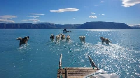An ice-free Greenland could be our *scary* future, says study An ice-free Greenland could be our *scary* future, says study