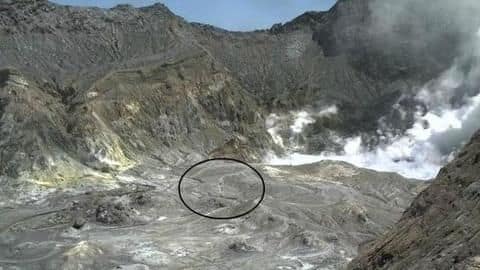 Tourists included New Zealanders, visitors from overseas Tourists included New Zealanders, visitors from overseas
