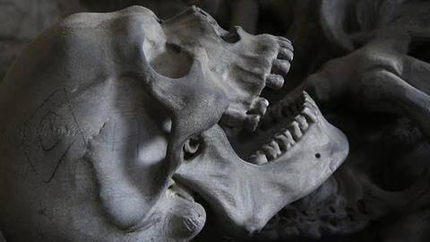 42 skulls, fetus, 'satanic' altar found from Mexico cartel's den 42 skulls, fetus, 'satanic' altar found from Mexico cartel's den