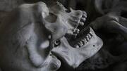 42 skulls, fetus, 'satanic' altar found from Mexico cartel's den