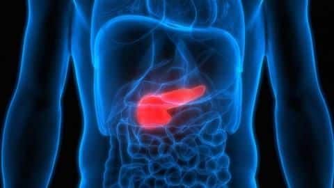 What does it mean to have diabetes? What does it mean to have diabetes?