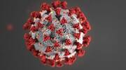 New test for COVID-19 could be more effective, says study