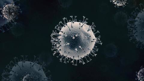 Coronavirus: India reports 38K+ new cases, nearly 500 more dead Coronavirus: India reports 38K+ new cases, nearly 500 more dead