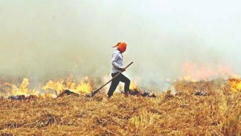 Illegal stubble burning in Punjab, Haryana adds to Delhi pollution Illegal stubble burning in Punjab, Haryana adds to Delhi pollution