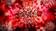 South African, Brazilian COVID-19 variants detected in India: Government