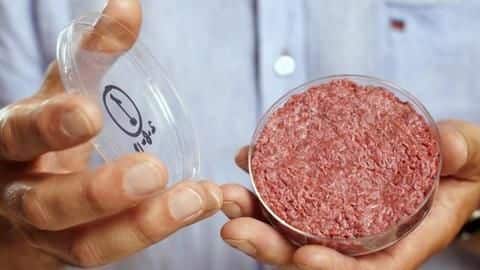 Lab-grown meat can help balance growing meat demands Lab-grown meat can help balance growing meat demands