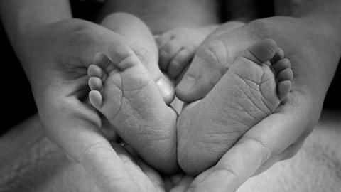 Hisar: Four-month-old fetus found in hospital toilet Hisar: Four-month-old fetus found in hospital toilet