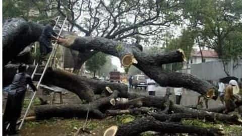 What had happened at Aarey Colony? What had happened at Aarey Colony?