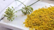 What is fennel pollen? Here's why chefs love it 