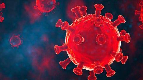 COVID-19 antibody that protects against broad range of variants identified COVID-19 antibody that protects against broad range of variants identified