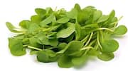 Watercress: A leafy green your diet is missing 