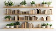 5 trailing plants to decorate your bookshelf