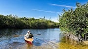 Kayakers, paddle across Gabon's pristine mangroves 