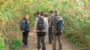 Hiking helps you sleep better: Here's how