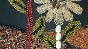 DIY: How to make colorful seed mosaics