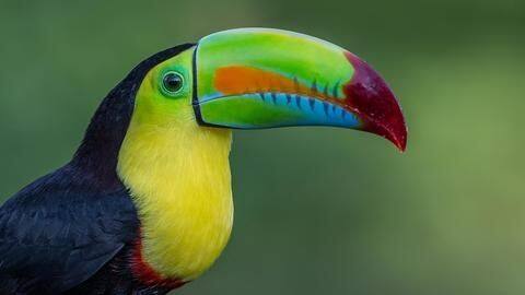 Colombia Colombia