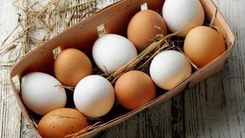 Brown eggs v/s white eggs Brown eggs v/s white eggs