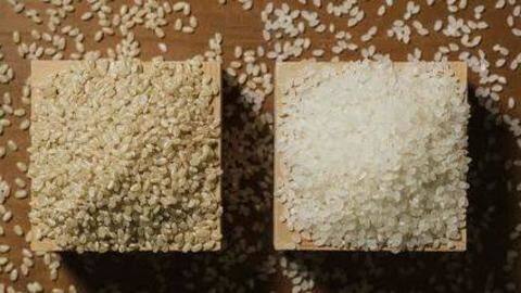 Brown rice v/s white rice Brown rice v/s white rice