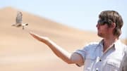 City birds seem to like men more; scientists unsure why