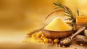 Maize meal: A versatile choice for vegetarian dishes 