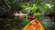 Explore the beauty of Gabon's mangrove forests by kayak 